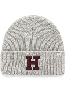 47 Harvard Crimson Grey Brain Freeze Mens Knit Hat