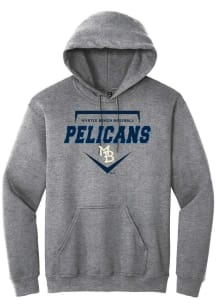 Summit Sportswear Myrtle Beach Pelicans Mens Graphite Homeplate Long Sleeve Hoodie