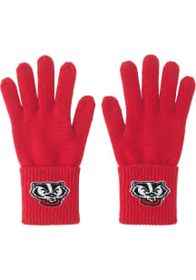 Wisconsin Badgers Posh Knit Womens Gloves