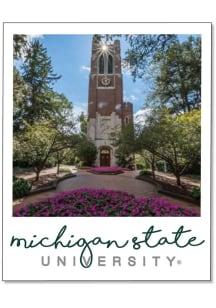 Michigan State Spartans 3.5in Polaroid Rugged Stickers - Green