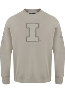 Pro Standard Illinois Fighting Illini Mens Brown Neutral Long Sleeve Crew Sweatshirt