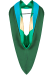 George Mason University BLUE Public Policy Masters Hood Graduation Hood ...